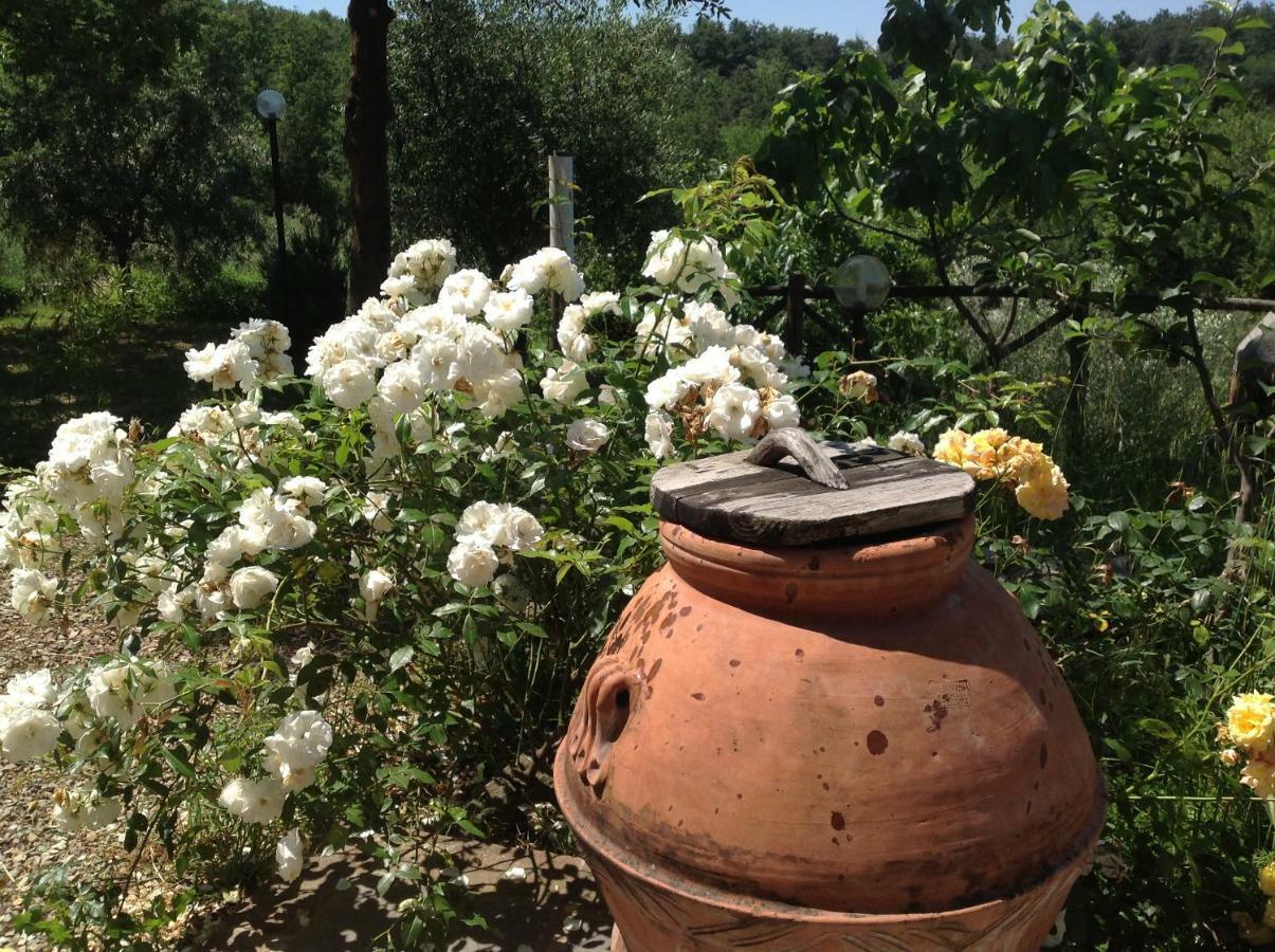 Villa Agriturismo Prato Barone à Rufina Extérieur photo