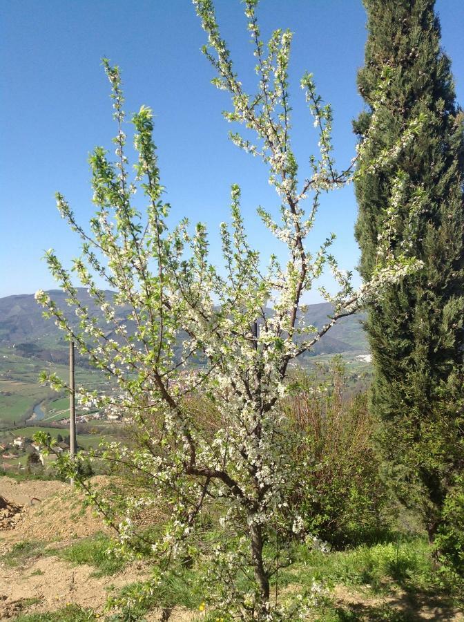 Villa Agriturismo Prato Barone à Rufina Extérieur photo